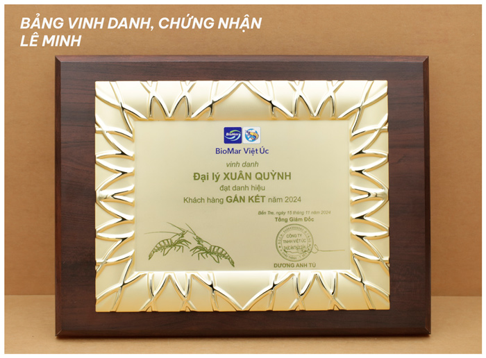 bảng vinh danh khen thưởng khung gỗ mặt kim loại