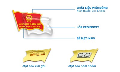 HUY HIỆU CỜ ĐẢNG - ĐẠI BIỂU ĐẠI HỘI HÌNH LÁ CỜ