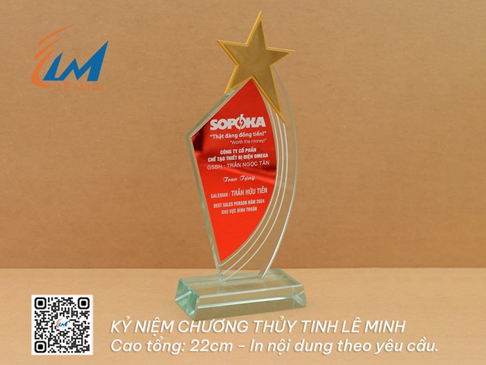 Những mẫu kỷ niệm chương giá từ 240k - 355k