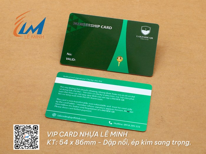 IN VIP CARD
