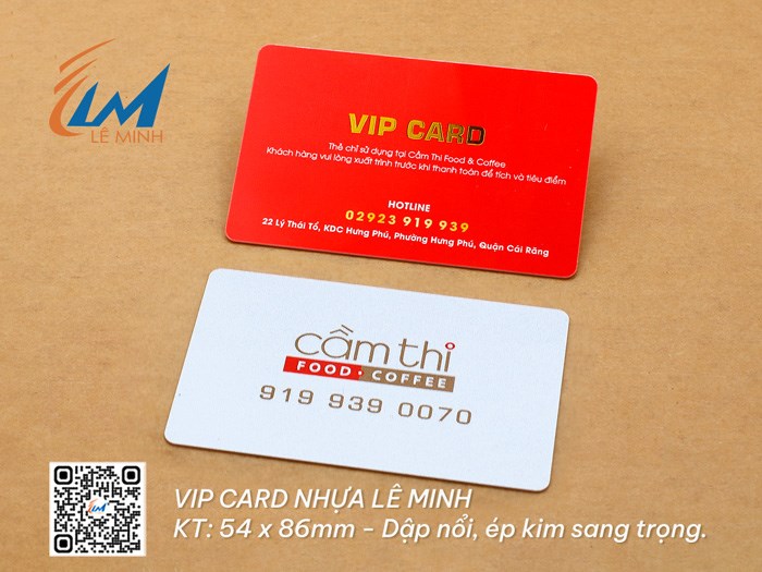 IN VIP CARD
